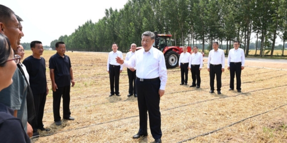 Çin’de Bereketli Hasatlar Çiftçiler İçin Kalıcı Refaha Dönüşüyor: Xi Jinping’in Kırsal Vizyonu